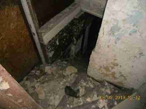 13615 Kentucky (16)_m.jpg